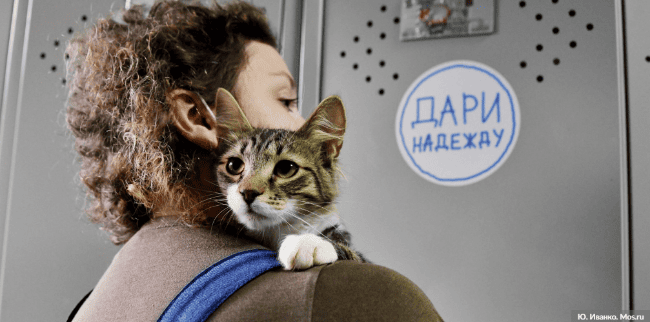 veravdelo.ru